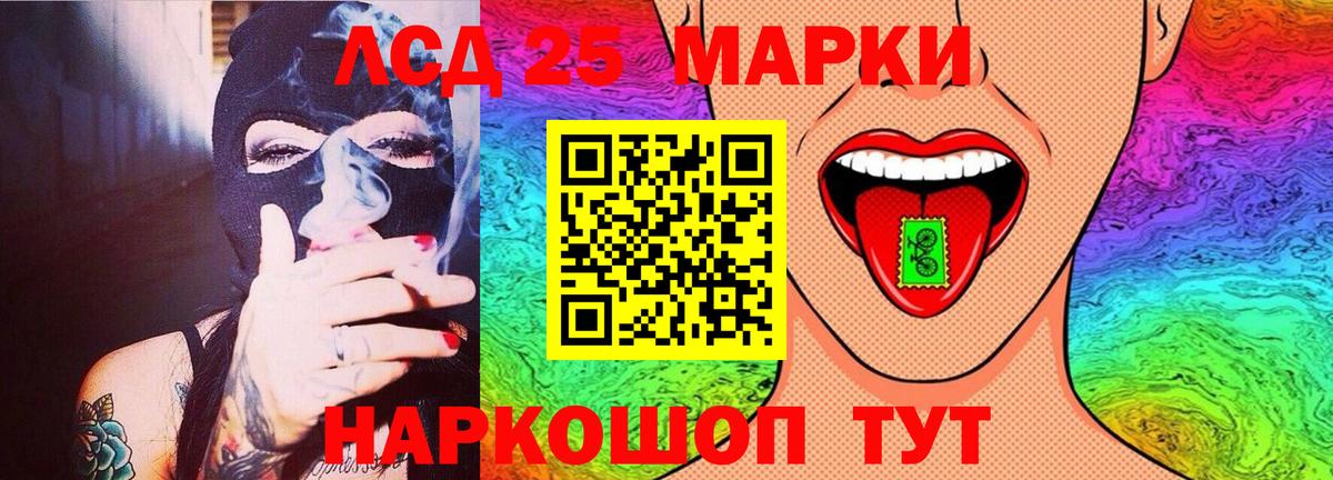 Галлюциногенные грибы Кстово