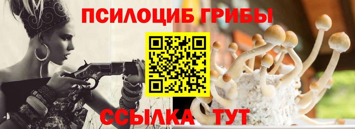 Галлюциногенные грибы ЛСД Кстово